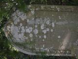 image of grave number 614303